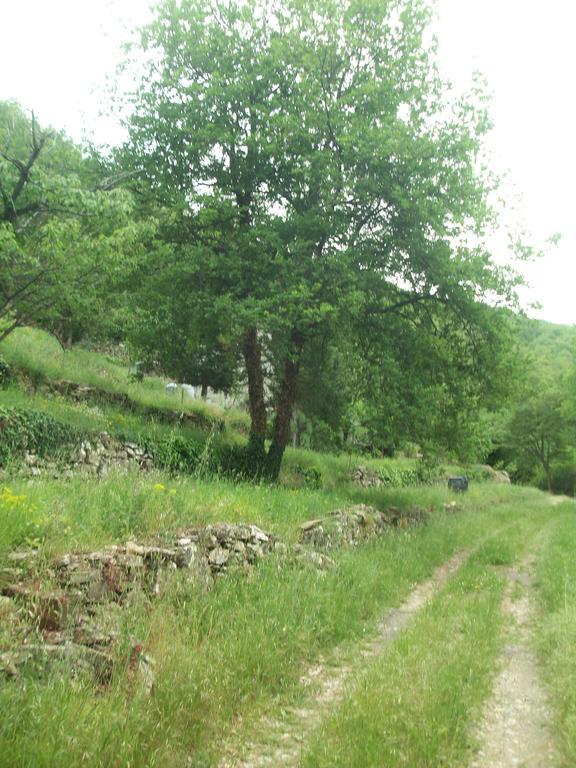 Piccolo Rifugio Nel Verde Chiusavecchia Dış mekan fotoğraf