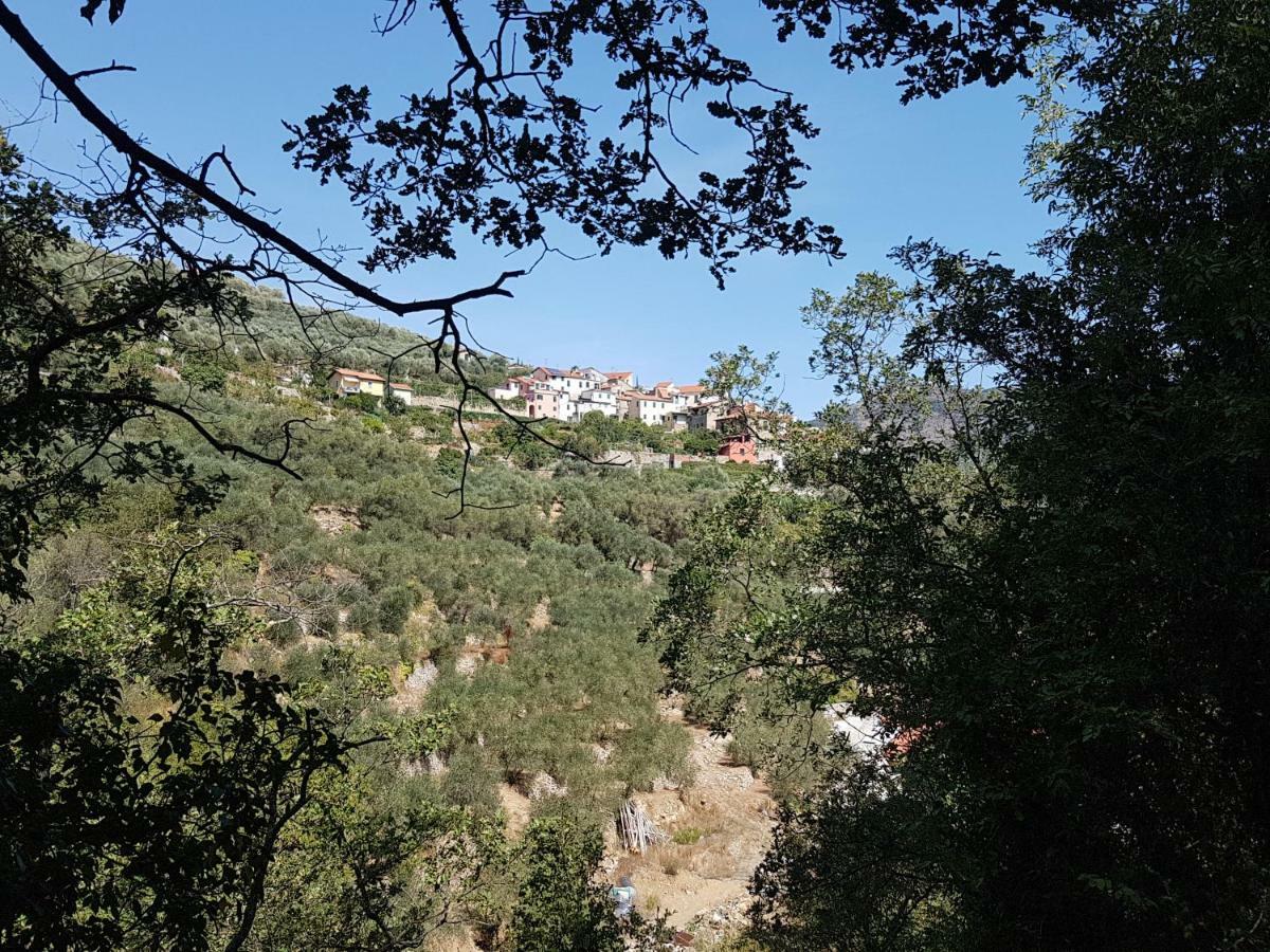 Piccolo Rifugio Nel Verde Chiusavecchia Dış mekan fotoğraf