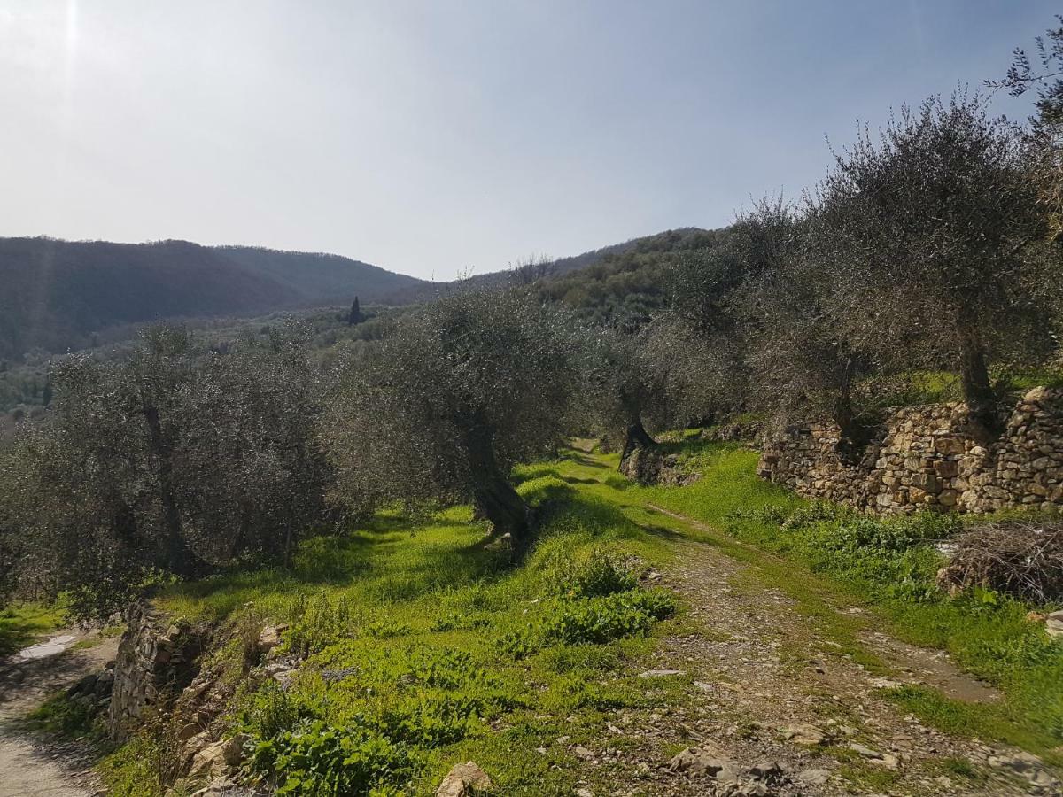 Piccolo Rifugio Nel Verde Chiusavecchia Dış mekan fotoğraf