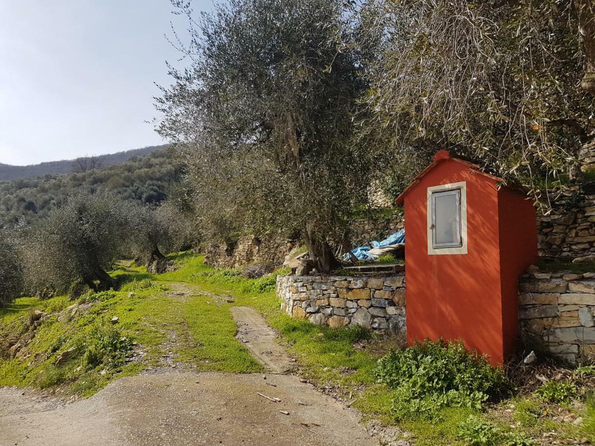 Piccolo Rifugio Nel Verde Chiusavecchia Dış mekan fotoğraf