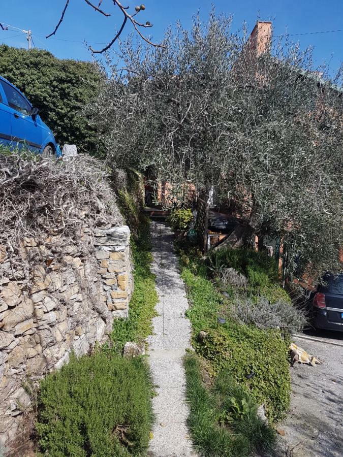 Piccolo Rifugio Nel Verde Chiusavecchia Dış mekan fotoğraf